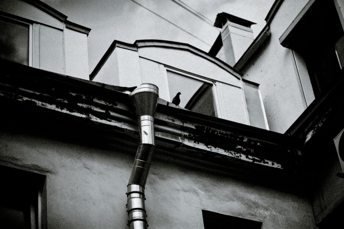 Najlepsze materiały do systemów drenażu na dachu